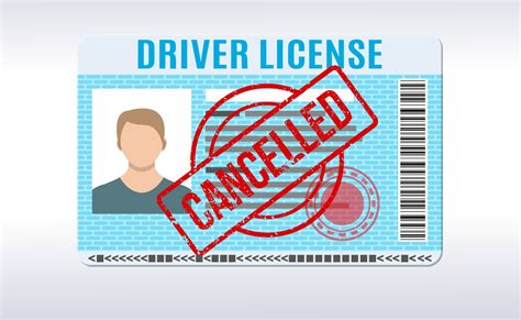 032 in lieu of a physical <b>driver</b> <b>license</b>. . A guest presents an intact drivers license